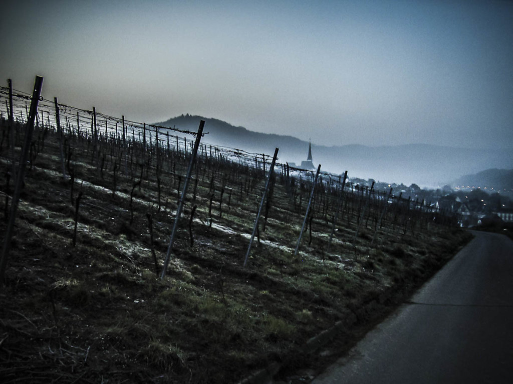 Morgennebel